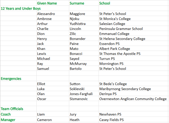 Boys U12 Soccer.png