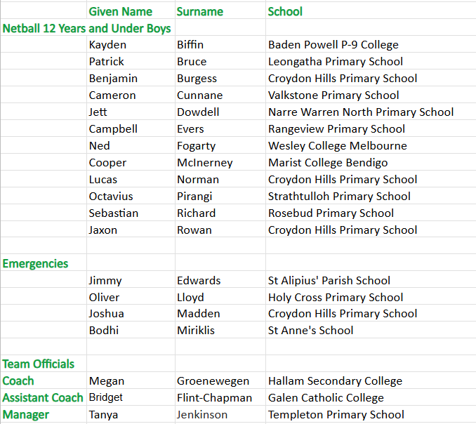 Netball U12 boys.png