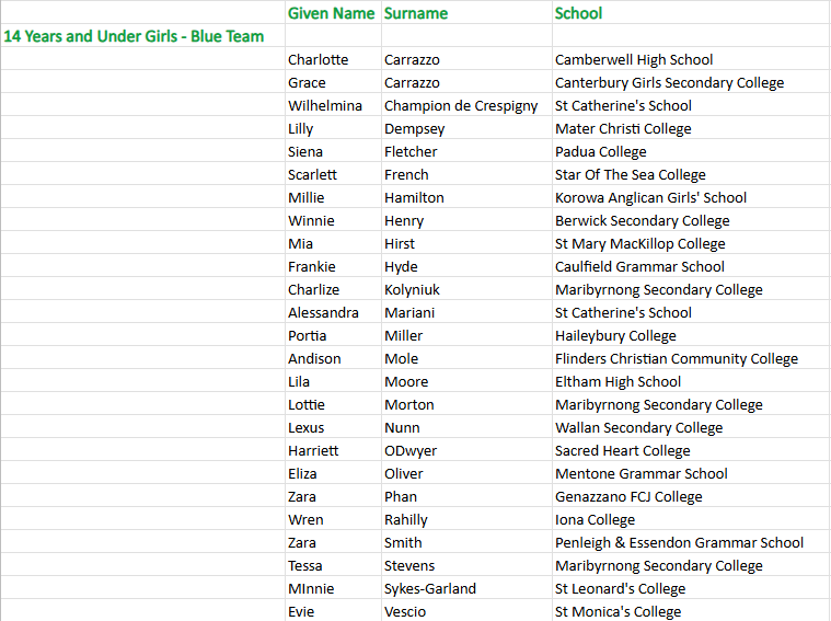 afl 14 blue girls team.png